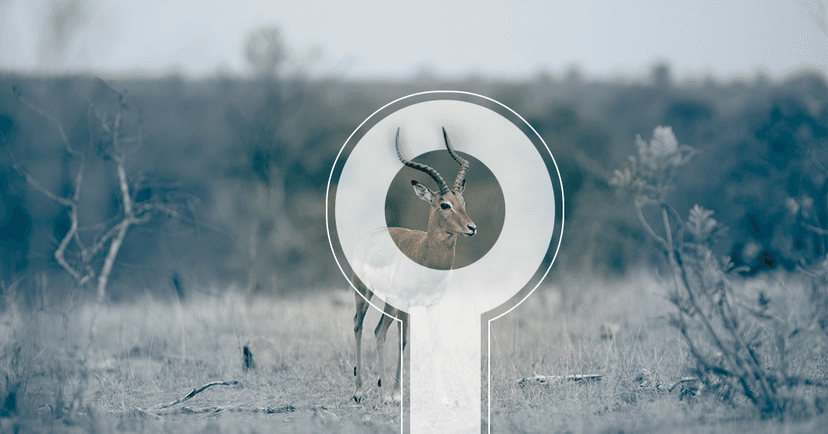 حماية الحياة البرية